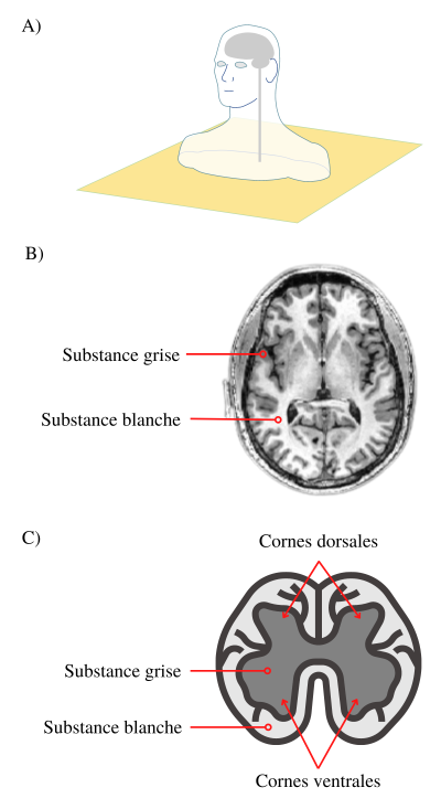 Facebook_Substance_griseblanche_Fig1