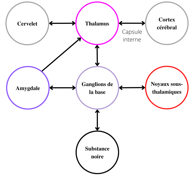 Facebook_Substance_griseblanche_Fig4